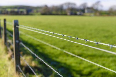 Barbed Wire Fences